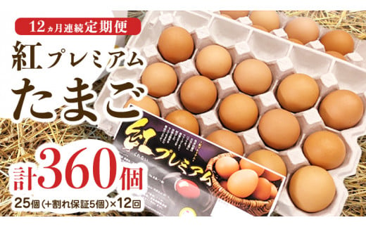 【 定期便 】【 全12回 コース 】 紅プレミアム 卵 30個 （ 25個 入り ＋ 割れ保障 5個 ）  独自飼料 濃厚 おいしい玉子 玉子 たまご サンサンエッグ タンパク質 定期便 朝食