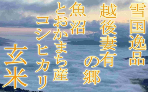 ●定期便・玄米●【雪国逸品5kg×3ヶ月】 越後妻有の郷 魚沼十日町産コシヒカリ