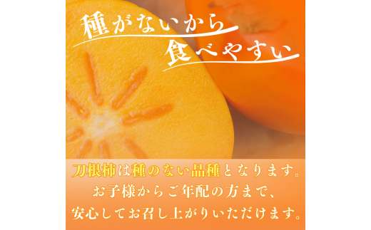 【受付は9月30日まで！】たねなし柿 刀根柿【ご家庭用サイズおまかせ】(約7.5kg以上)【2024年9月下旬～10月上旬に順次発送致します。】/ 和歌山県 紀美野町  種なし カキ 柿 かき 刀根 甘い 美味しい【frt002】