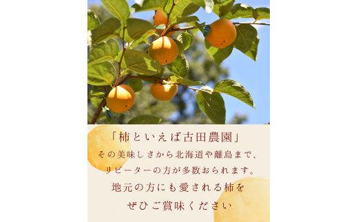 【受付は9月30日まで！】たねなし柿 刀根柿【ご家庭用サイズおまかせ】(約7.5kg以上)【2024年9月下旬～10月上旬に順次発送致します。】/ 和歌山県 紀美野町  種なし カキ 柿 かき 刀根 甘い 美味しい【frt002】