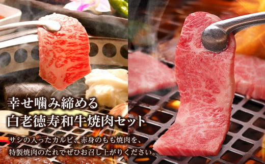 白老牛 焼肉 霜降り カルビ＆モモ セット 合計800ｇ（各400ｇ）特製焼肉のたれ付き 和牛 牛肉 北海道 ギフト ＜徳寿＞