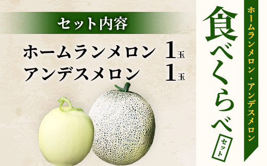 【2025年4月中旬発送開始】熊本県産 ホームランメロン アンデスメロン 食べ比べ 計2玉 約2.5kg以上