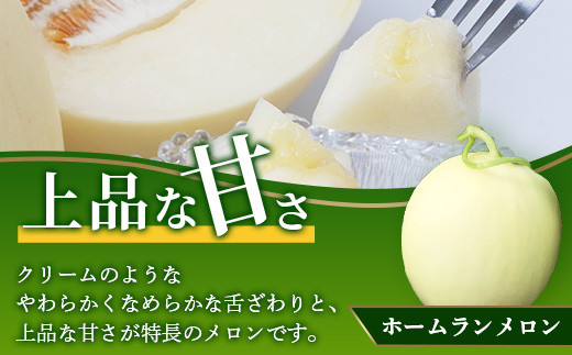 【2025年4月中旬発送開始】熊本県産 ホームランメロン アンデスメロン 食べ比べ 計2玉 約2.5kg以上