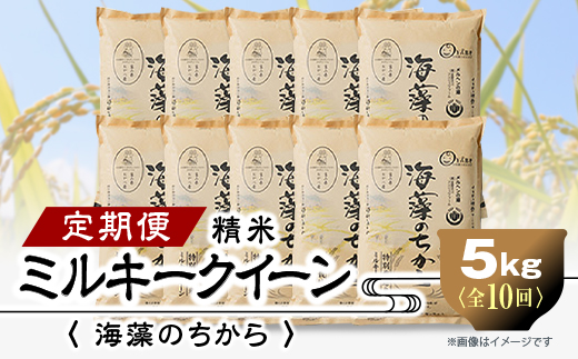 2023年10月発送開始『定期便』ミルキークイーン(海藻のちから)5kg×10ヶ月連続　全10回【5147656】