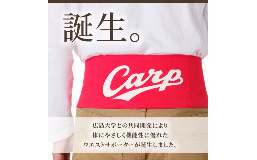 Carpベルト　Mサイズ（80～85cm）