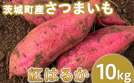 009-1茨城町産紅はるか10kg（さつまいも）【2024年11月中旬頃より発送予定】