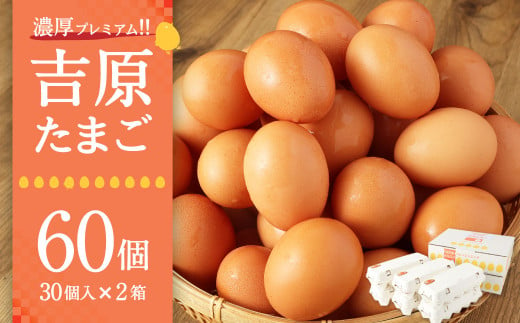 濃厚プレミアム！！吉原たまご2箱  30個入り×2箱 計60個 卵 たまご