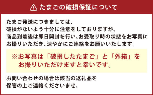 濃厚プレミアム！！吉原たまご2箱  30個入り×2箱 計60個 卵 たまご