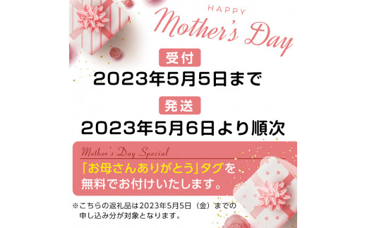 《母の日ギフト》＜あいり＞ 胡蝶蘭 3本立ち Lサイズ (母の日タグ付き) 母の日 限定 あいり ピンク こちょうらん コチョウラン 花 鉢花 贈り物 ギフト フラワーギフト F20E-937