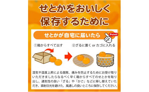 紀州有田産せとか約5kg 【ご家庭用】とろける食感！ジューシー柑橘【2025年2月下旬以降発送】【UT90】