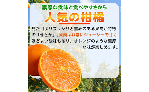 紀州有田産せとか約5kg 【ご家庭用】とろける食感！ジューシー柑橘【2025年2月下旬以降発送】【UT90】