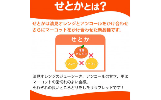 紀州有田産せとか約5kg 【ご家庭用】とろける食感！ジューシー柑橘【2025年2月下旬以降発送】【UT90】