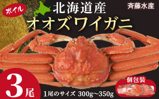 北海道産 大ズワイ 300g～350g ×3尾 ＜斉藤水産＞ オオズワイ 蟹 かに カニ ボイル