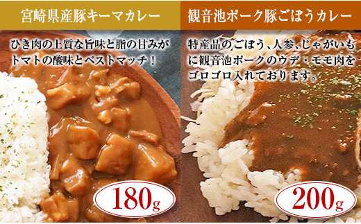 ◆宮崎ご当地カレー＆シチュー食べ比べセット(合計1.27kg)