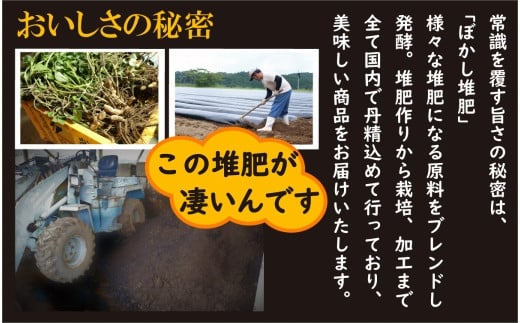 先行予約 国産 塩茹で落花生 300 g × 2 パック 2024年9月下旬より順次発送