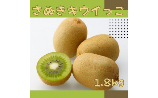 さぬきキウイっこ キウイフルーツ 1.8kg【予約受付中！令和6年11月中旬頃より発送！】【A-114】