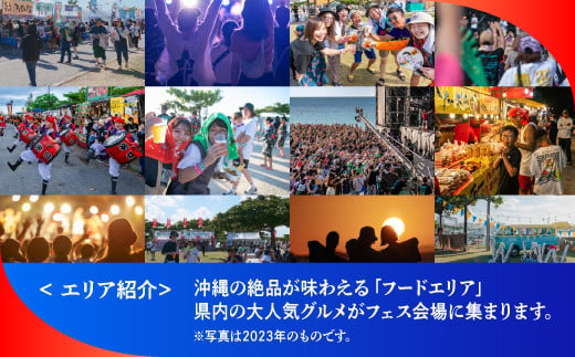 モンパチフェス What a Wonderful World 24 MONGOL800 ga FESTIVAL DAY1 11月2日（土） 1日券 フェスチケット