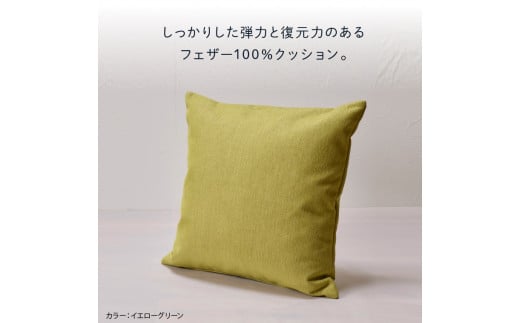 460100001 blocco フェザー100％ クッション [48cm×48cm/グレー]