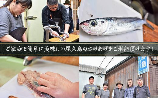 【定期便 全3回】屋久島 魚すりみ 360g×6パック＜屋久島名産のトビウオ使用＞