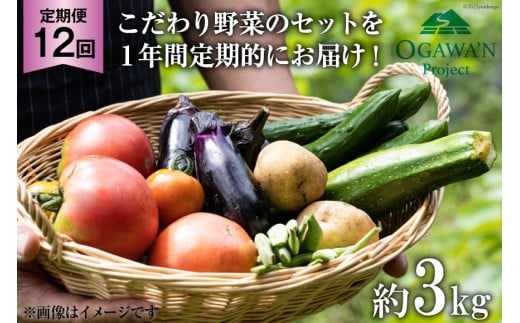 No.138 OGAWA'N　野菜セットの定期便（年12回）　＜JA埼玉中央＞【埼玉県小川町】