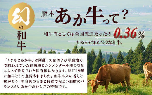 熊本あか牛 焼肉用カット ( バラ ・ ロース ) 500g