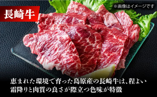 長崎牛サガリ肉西京味噌漬け500g(サガリ肉300g+調合味噌200g) 長崎県/ダイニング味遊 [42ACAG037]