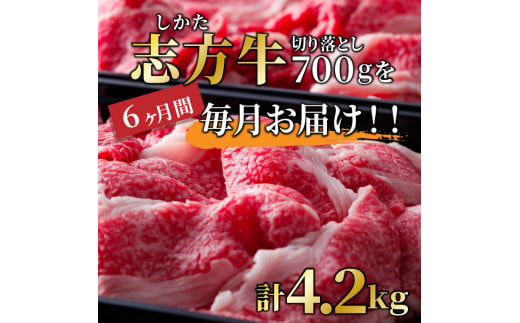 志方牛切り落とし定期便(700g×6ヶ月)《 定期便 肉 国産 牛肉 牛 国産牛 切り落とし 小間切れ お手軽 おいしい お取り寄せ 志方牛 送料無料 》【2406A00307】