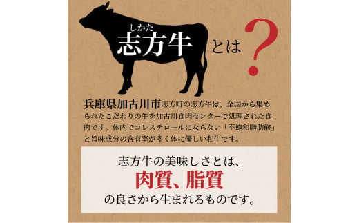 志方牛切り落とし定期便(700g×6ヶ月)《 定期便 肉 国産 牛肉 牛 国産牛 切り落とし 小間切れ お手軽 おいしい お取り寄せ 志方牛 送料無料 》【2406A00307】