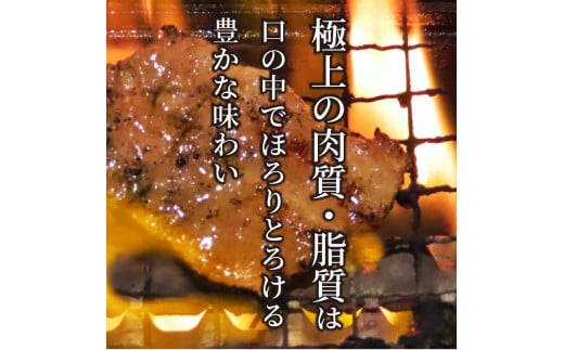 志方牛切り落とし定期便(700g×6ヶ月)《 定期便 肉 国産 牛肉 牛 国産牛 切り落とし 小間切れ お手軽 おいしい お取り寄せ 志方牛 送料無料 》【2406A00307】