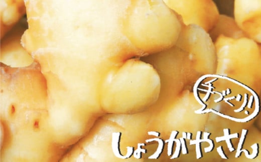 しょうがやさんの手作りセット  自家製 愛知県産 しょうが 愛西市 / しょうがやさん [AEAO005]