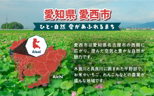 しょうがやさんの手作りセット  自家製 愛知県産 しょうが 愛西市 / しょうがやさん [AEAO005]
