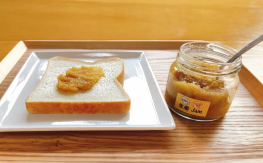 しょうがやさんの手作りセット  自家製 愛知県産 しょうが 愛西市 / しょうがやさん [AEAO005]