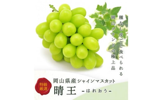 岡山県産　シャインマスカット『晴王』1房(800g以上) 化粧箱入り