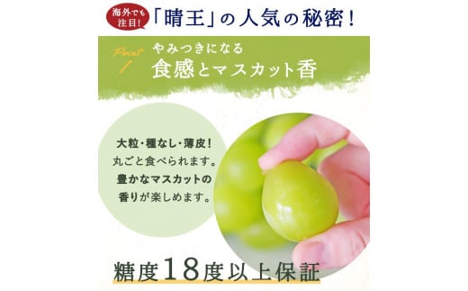 岡山県産　シャインマスカット『晴王』1房(800g以上) 化粧箱入り