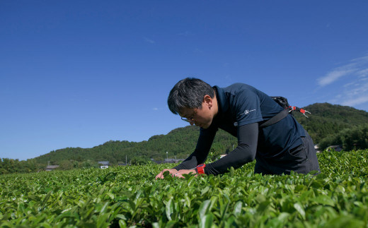 B4057 村上茶・雪国 紅茶 丸缶 ギフトセット 3種 各2缶 計6缶