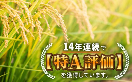 【安心安全の特別栽培米！】令和6年産 新米 さがびより 5kg 武雄市橘産 /よしたか農園 [UCY001] 白米 米 お米 こめ 白米 精米 ブランド米