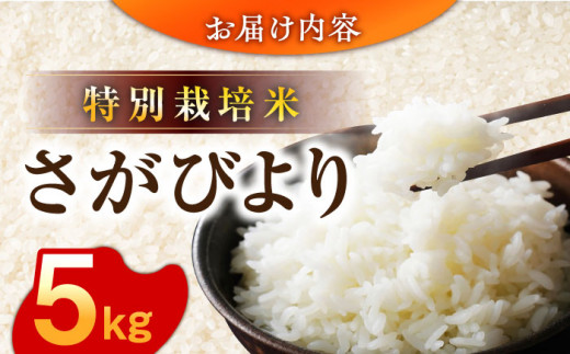 【安心安全の特別栽培米！】令和6年産 新米 さがびより 5kg 武雄市橘産 /よしたか農園 [UCY001] 白米 米 お米 こめ 白米 精米 ブランド米