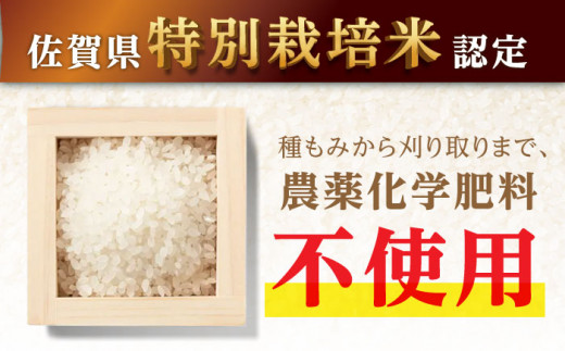 【安心安全の特別栽培米！】令和6年産 新米 さがびより 5kg 武雄市橘産 /よしたか農園 [UCY001] 白米 米 お米 こめ 白米 精米 ブランド米