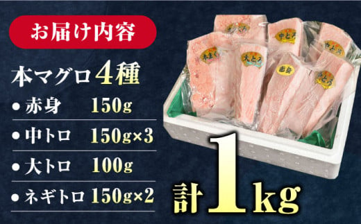 【お歳暮対象】対馬産 本マグロ 4種 計1kg（赤身/中トロ/大トロ/ネギトロ）《対馬市》【対海】[WAH004] マグロ まぐろ 鮪 本鮪 本マグロ 養殖 トロ 中トロ 中とろ 大トロ 大とろ 赤身 ねぎとろ ネギトロ たたき 刺身 冷凍 海鮮 魚 柵 お祝い 贈答