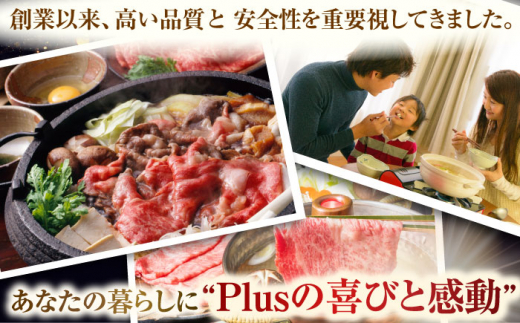 【厳選部位】【A4～A5】長崎和牛サーロインしゃぶしゃぶすき焼き用　500g【株式会社 MEAT PLUS】 [QBS017]