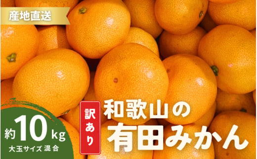 家庭用 訳あり 有田みかん 和歌山 大玉(2L,3Lサイズ混合) 約 10kg【10月上旬～1月下旬頃に順次発送】/ みかん フルーツ 果物 くだもの 有田みかん 蜜柑 柑橘【ktn012A】