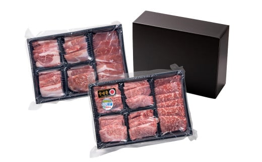 【1月発送】宮崎牛＆宮崎県産豚肉 焼肉10種盛り 食べ比べセット計600g 宮崎牛 A4～A5等級 国産牛 豚肉  ブランド牛 ミヤチク 内閣総理大臣賞4連覇＜1.4-39＞●