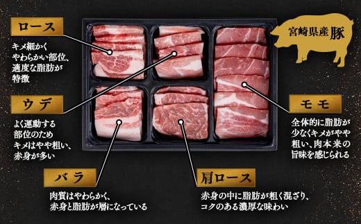【1月発送】宮崎牛＆宮崎県産豚肉 焼肉10種盛り 食べ比べセット計600g 宮崎牛 A4～A5等級 国産牛 豚肉  ブランド牛 ミヤチク 内閣総理大臣賞4連覇＜1.4-39＞●