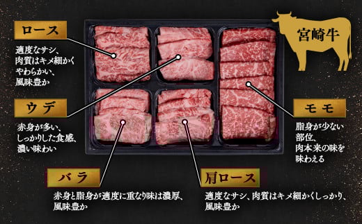 【1月発送】宮崎牛＆宮崎県産豚肉 焼肉10種盛り 食べ比べセット計600g 宮崎牛 A4～A5等級 国産牛 豚肉  ブランド牛 ミヤチク 内閣総理大臣賞4連覇＜1.4-39＞●