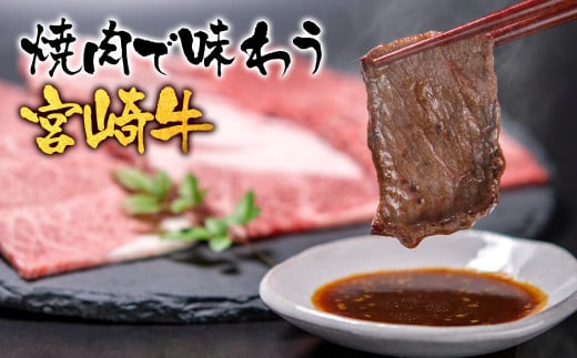 【1月発送】宮崎牛＆宮崎県産豚肉 焼肉10種盛り 食べ比べセット計600g 宮崎牛 A4～A5等級 国産牛 豚肉  ブランド牛 ミヤチク 内閣総理大臣賞4連覇＜1.4-39＞●