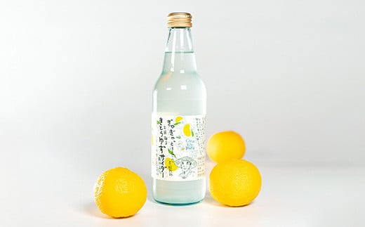 【香料・着色料不使用】【ギフト箱入】きとうゆずサイダー340ml × 6本セット [木頭ゆず 木頭柚子 木頭ユズ きとうゆず 柚子 ゆず ユズ 果汁 果汁ジュース サイダー 炭酸 炭酸飲料 ジュース 飲み物 飲料 美味しい うまい カクテル お酒 ハチミツ はちみつ 蜂蜜 贈り物 贈答 プレゼント ギフト 母の日 父の日] 【OM-29】