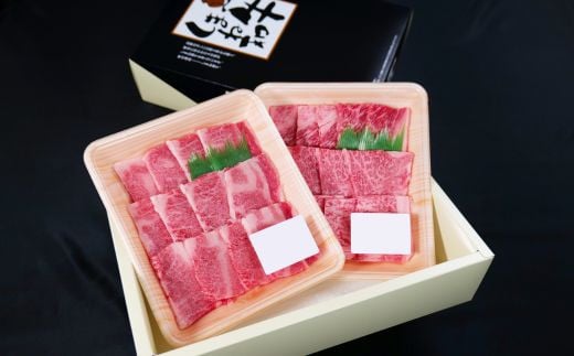 しまね和牛 焼肉用2種セット（肩ロース、カルビ）560g 【黒毛和牛  おすすめ 冷凍  和牛オリンピック 肉質NO.1】