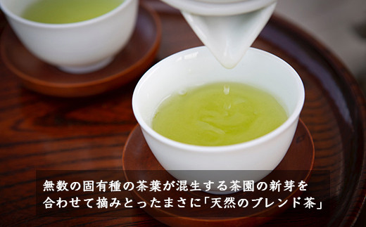 楠森堂 実生在来茶3種 (特上煎茶80g)・(特上ほうじ茶30g)・(上煎茶80g) セット