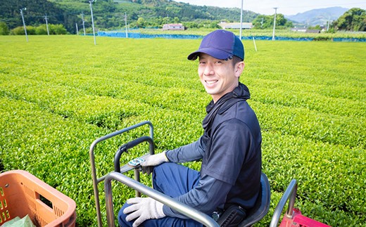 楠森堂 実生在来茶3種 (特上煎茶80g)・(特上ほうじ茶30g)・(上煎茶80g) セット