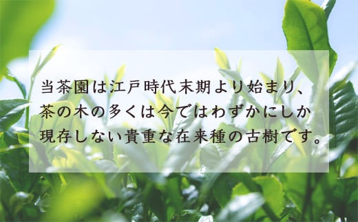 楠森堂 実生在来茶3種 (特上煎茶80g)・(特上ほうじ茶30g)・(上煎茶80g) セット